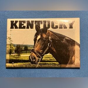 Kentucky Horse Magnet - Brown Horse Accent